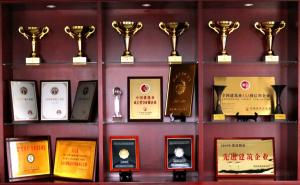 集團(tuán)公司四項(xiàng)工程榮獲“中州杯”獎(jiǎng)！